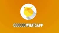 Cocoo-Whatsapp